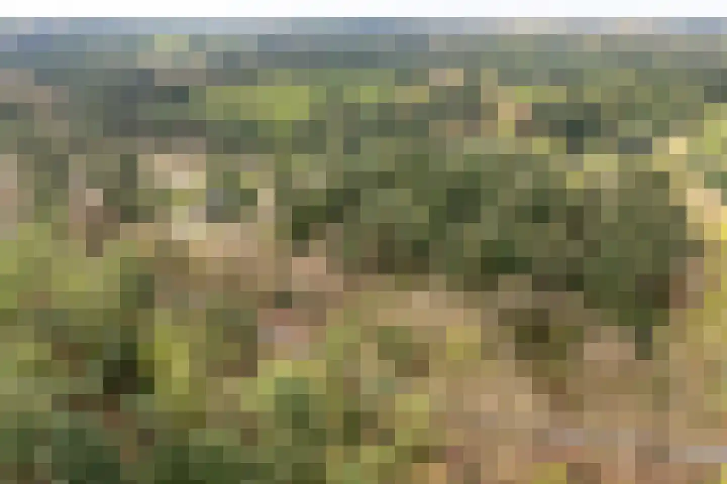 Fazantenlaan 2 Maarn thumbnail 41