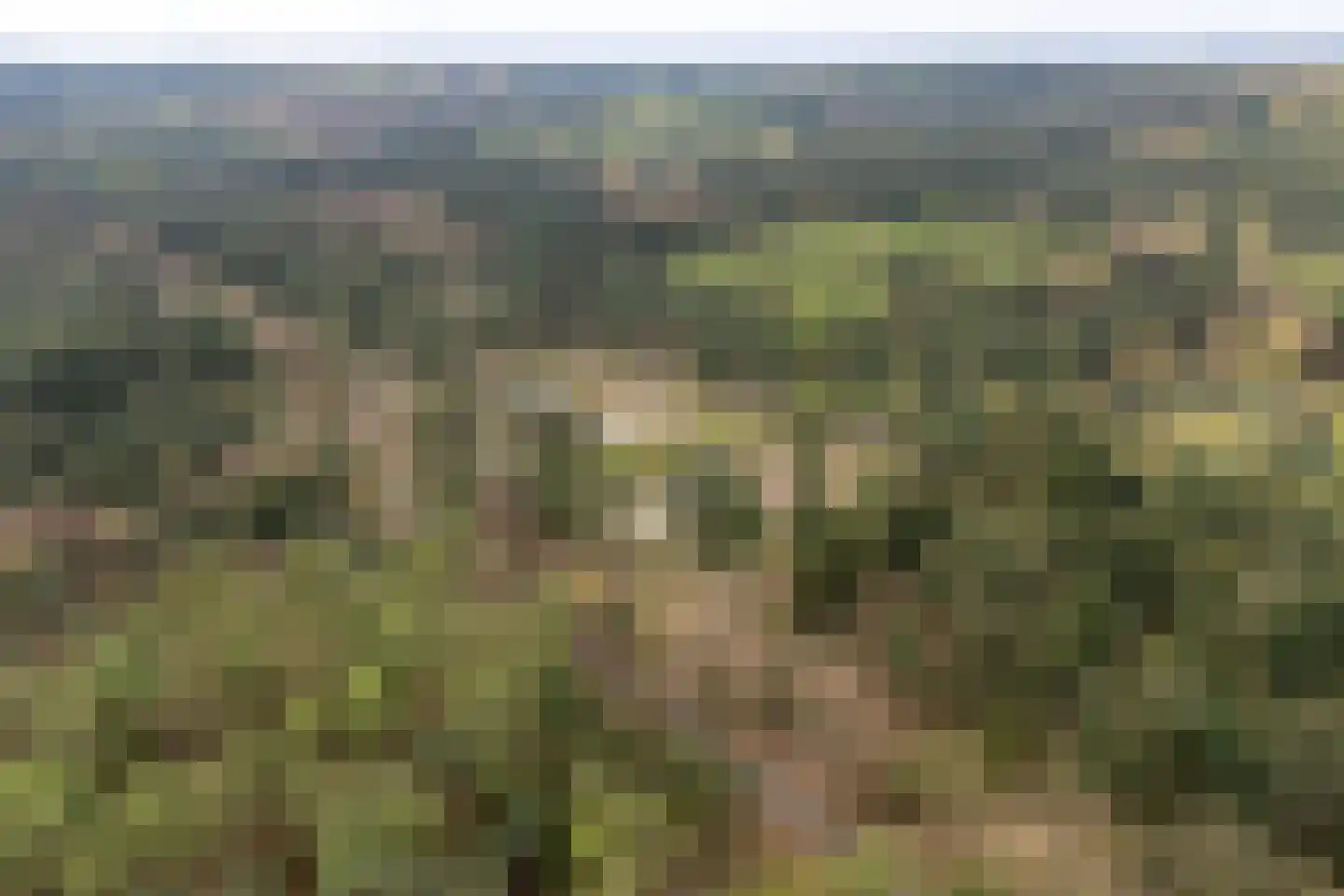 Fazantenlaan 2 Maarn thumbnail 42