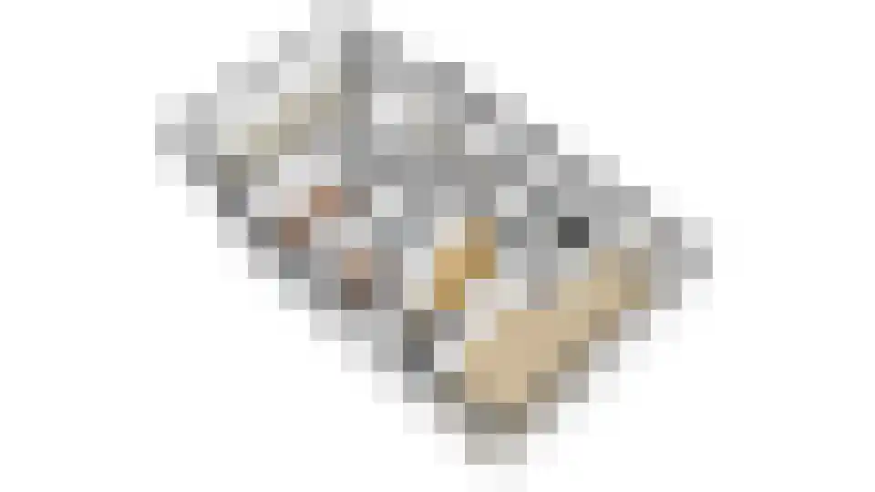 Fazantenlaan 2 Maarn thumbnail 44
