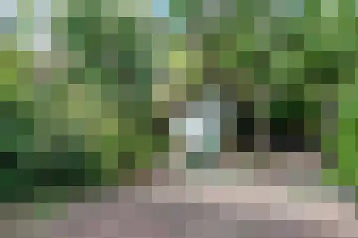 Fazantenlaan 23 Heemstede thumbnail 36