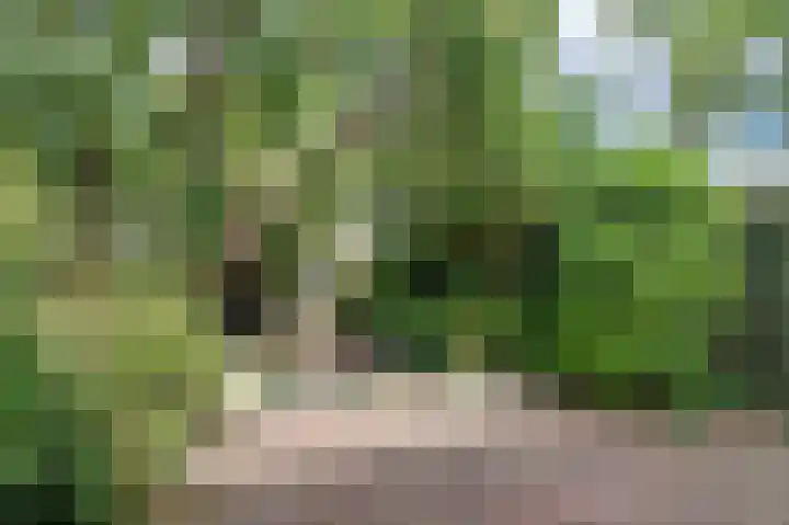 Fazantenlaan 23 Heemstede thumbnail 37