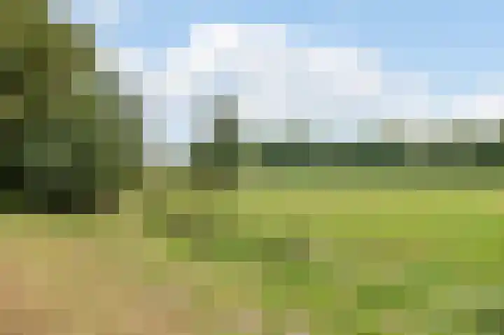 Fazantenlaan 23 Heemstede thumbnail 39