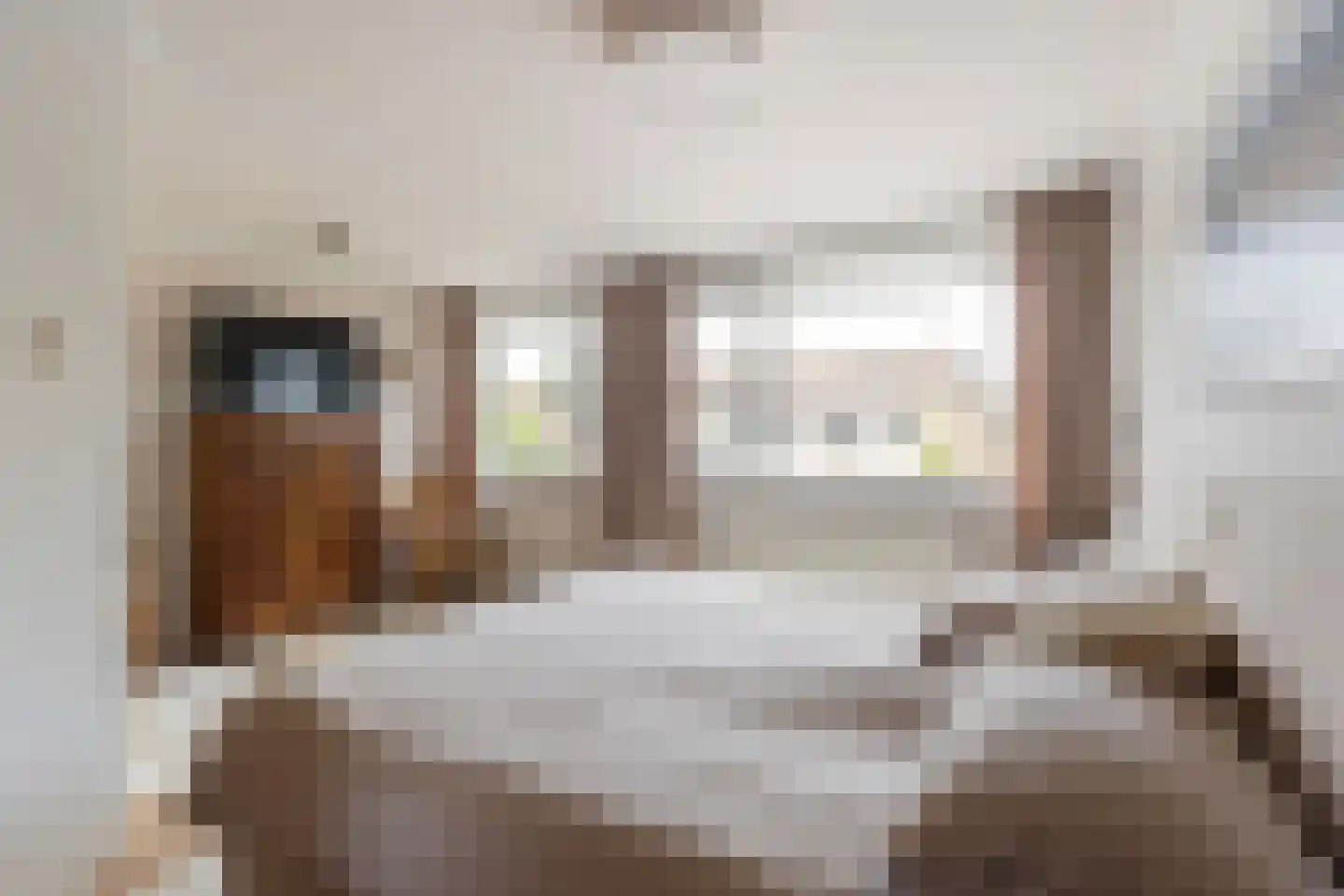 Fazantenlaan 23 Sint Pancras thumbnail 16