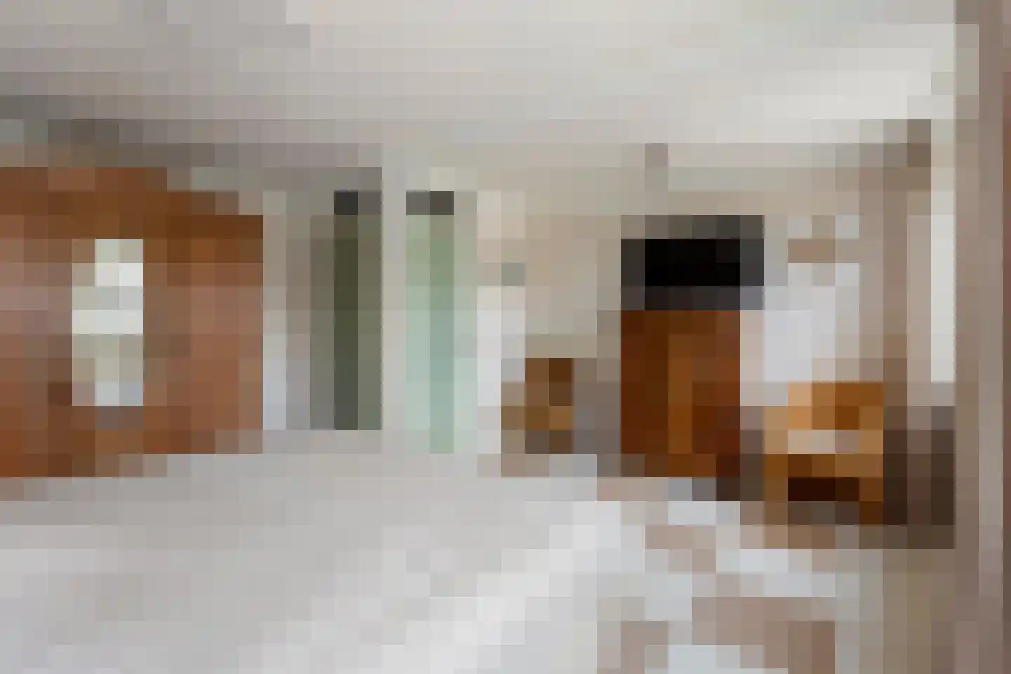 Fazantenlaan 23 Sint Pancras thumbnail 18