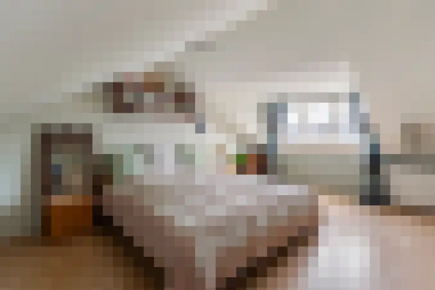 Fazantenlaan 23 Sint Pancras thumbnail 24