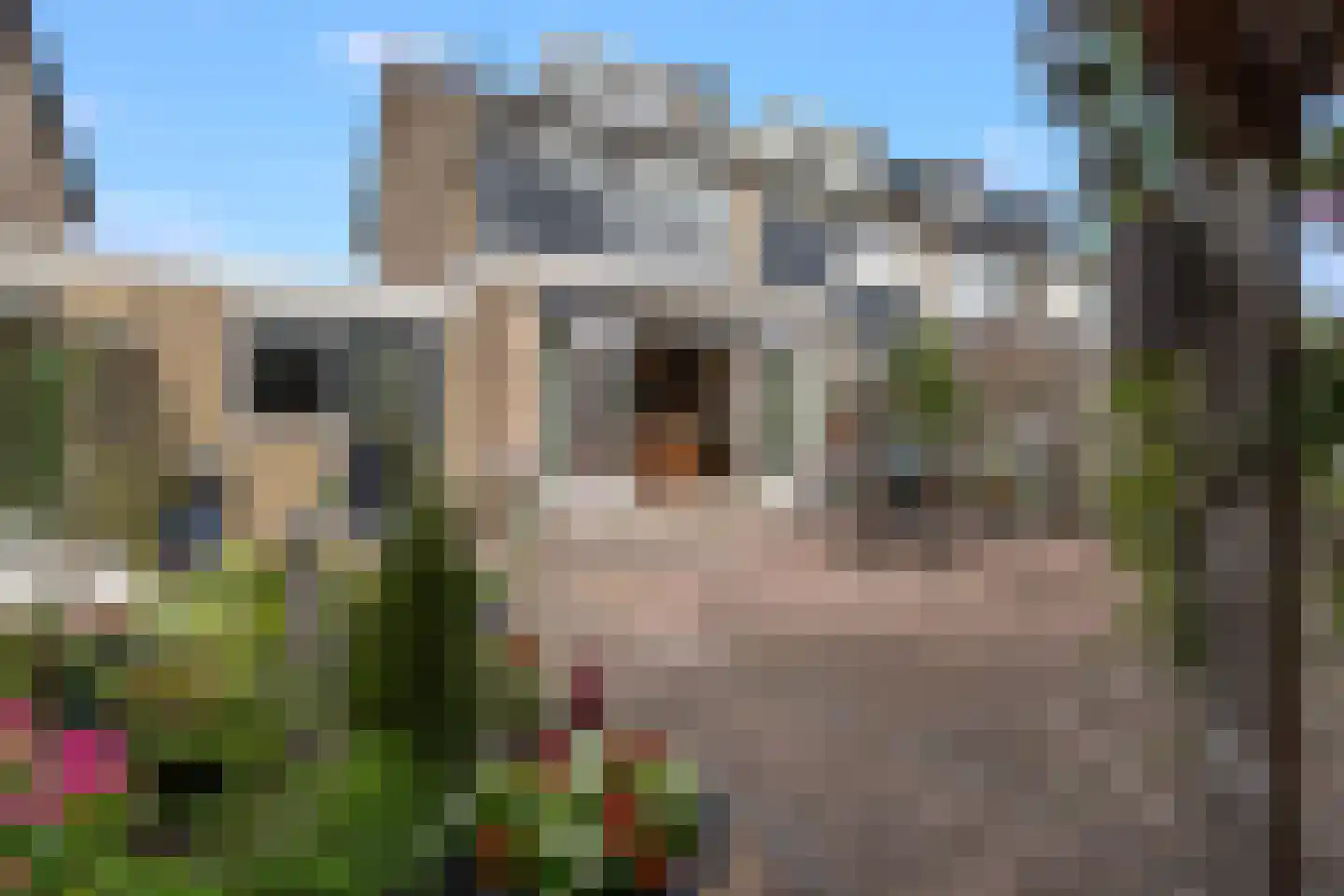 Fazantenlaan 23 Sint Pancras thumbnail 26