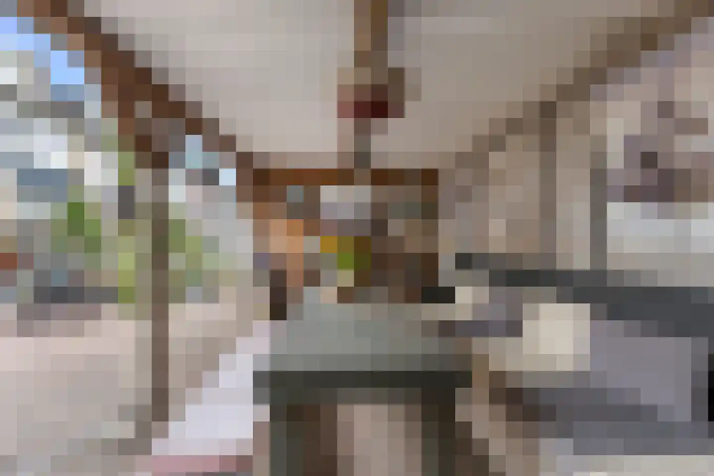 Fazantenlaan 23 Sint Pancras thumbnail 33