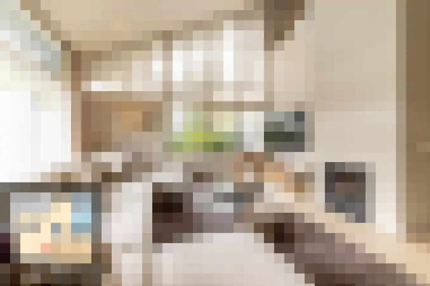 Fazantenlaan 25 Oostvoorne thumbnail 10