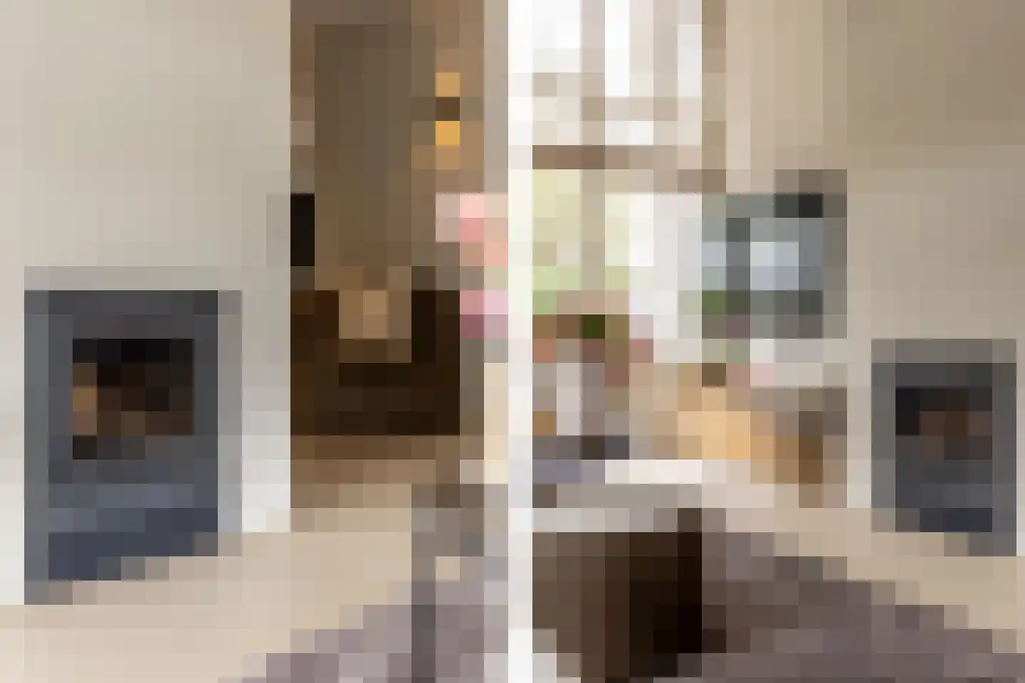 Fazantenlaan 25 Oostvoorne thumbnail 15