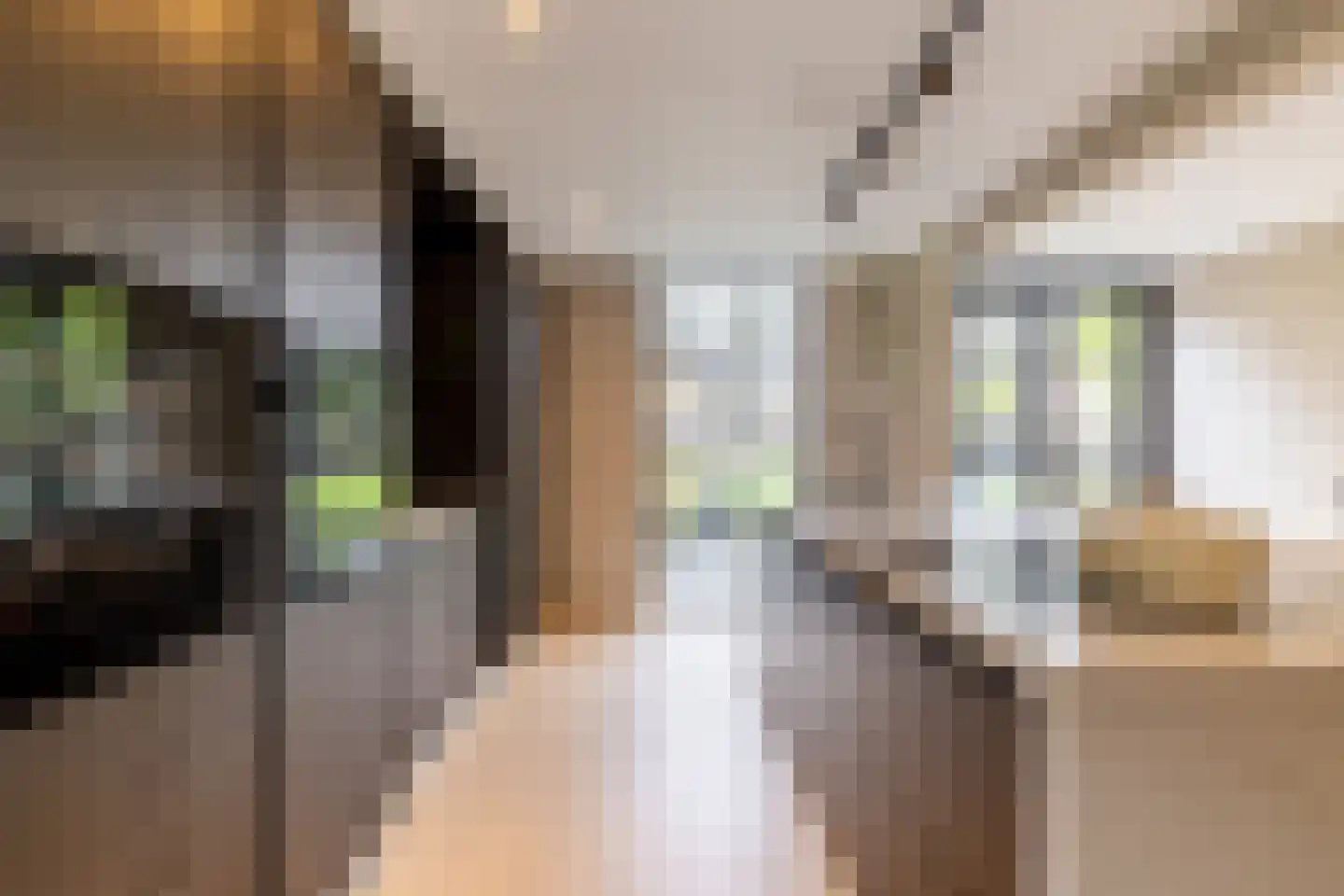 Fazantenlaan 25 Oostvoorne thumbnail 19