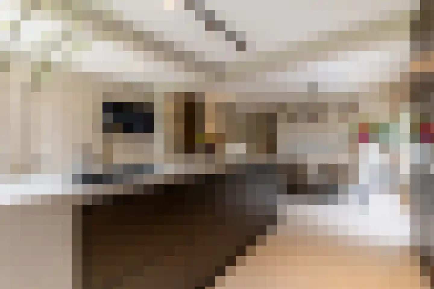 Fazantenlaan 25 Oostvoorne thumbnail 23