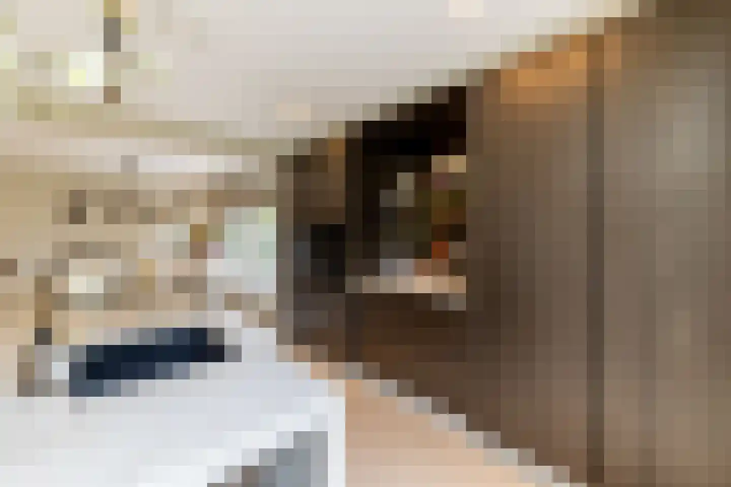 Fazantenlaan 25 Oostvoorne thumbnail 24