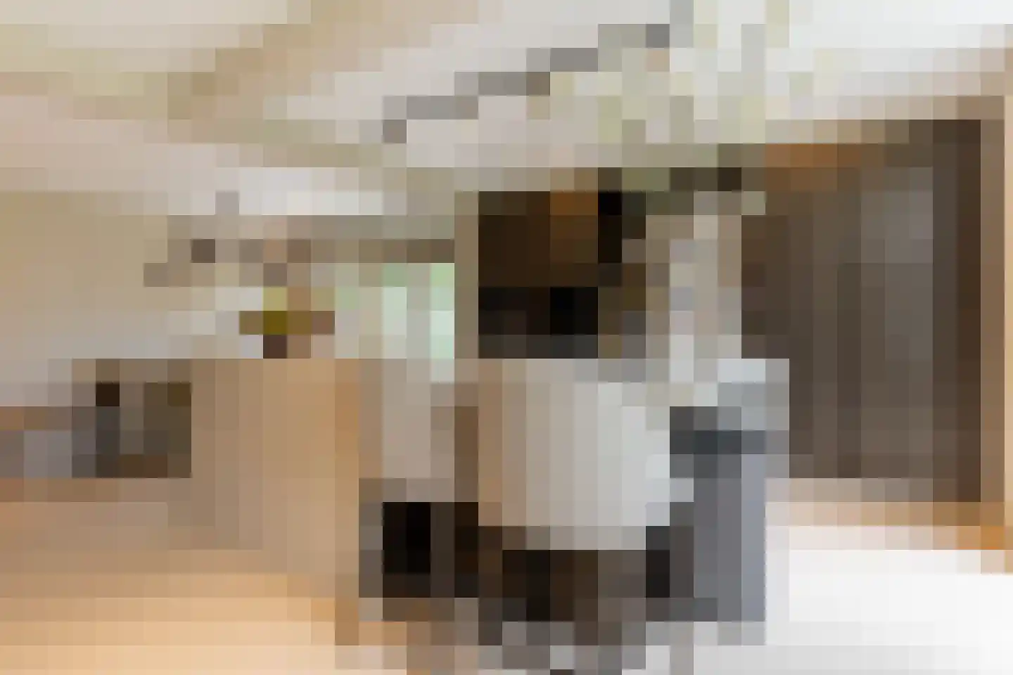 Fazantenlaan 25 Oostvoorne thumbnail 26