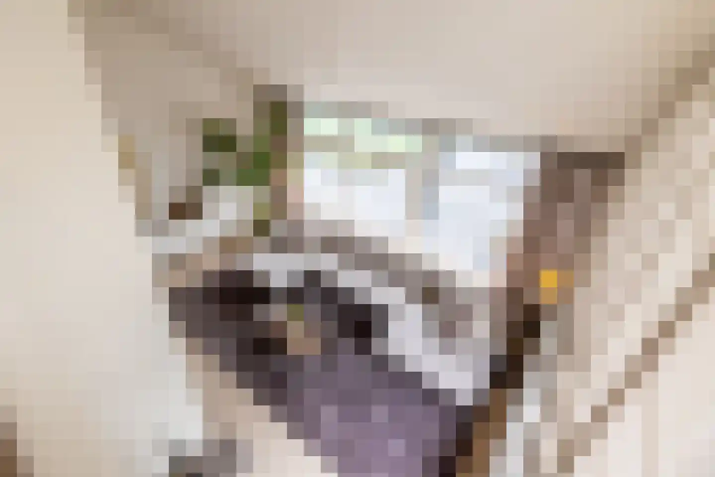 Fazantenlaan 25 Oostvoorne thumbnail 52