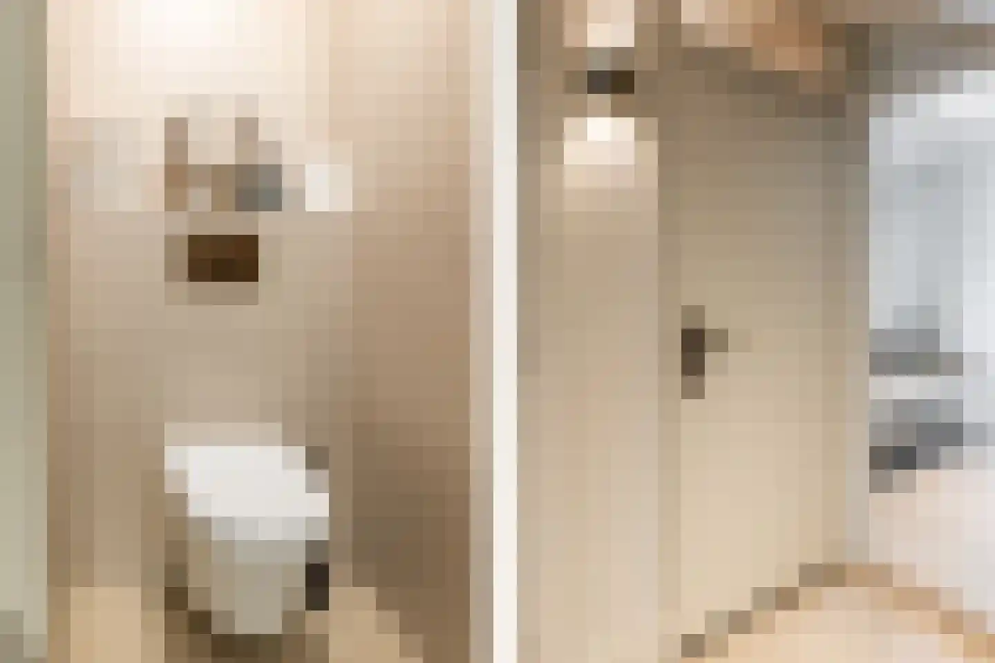 Fazantenlaan 25 Oostvoorne thumbnail 57