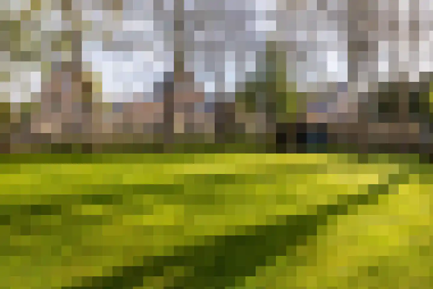 Fazantenlaan 25 Oostvoorne thumbnail 62