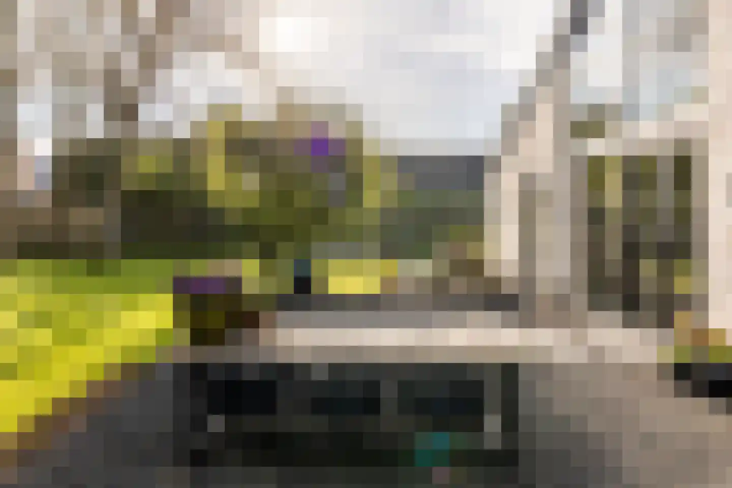 Fazantenlaan 25 Oostvoorne thumbnail 64