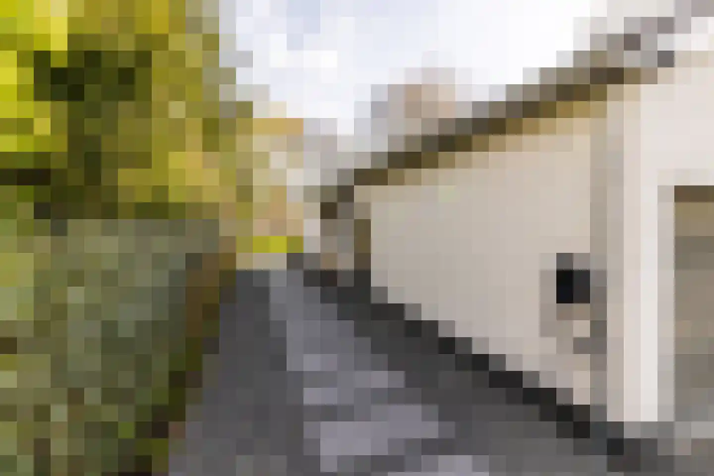 Fazantenlaan 25 Oostvoorne thumbnail 73