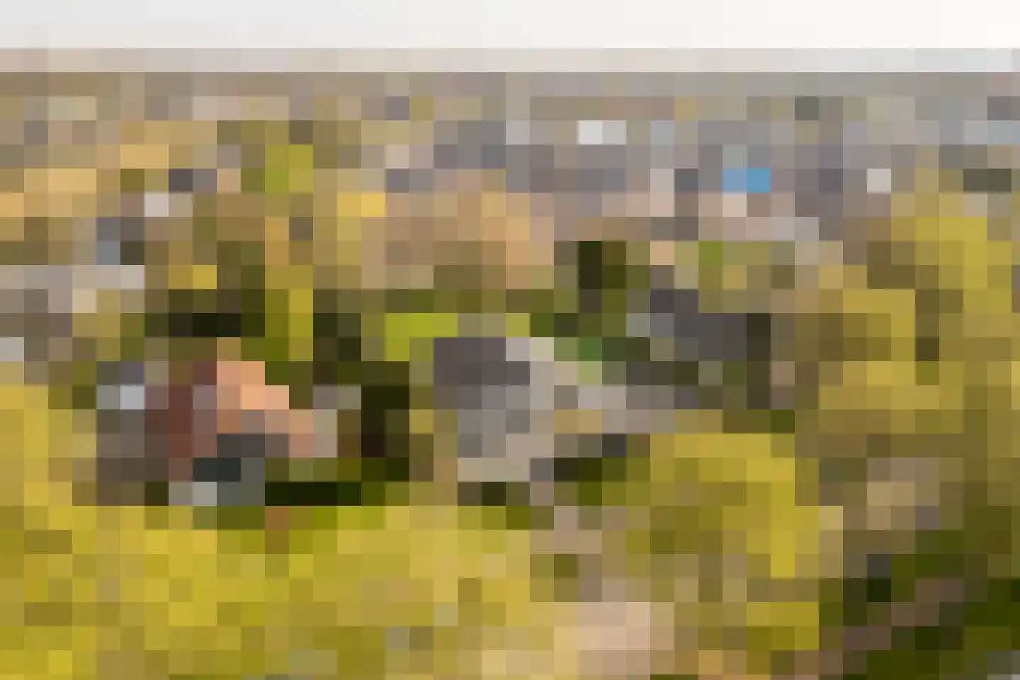 Fazantenlaan 25 Oostvoorne thumbnail 75
