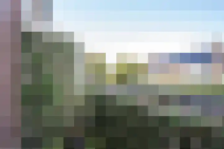 Fazantenlaan 28 Haren Gn thumbnail 29