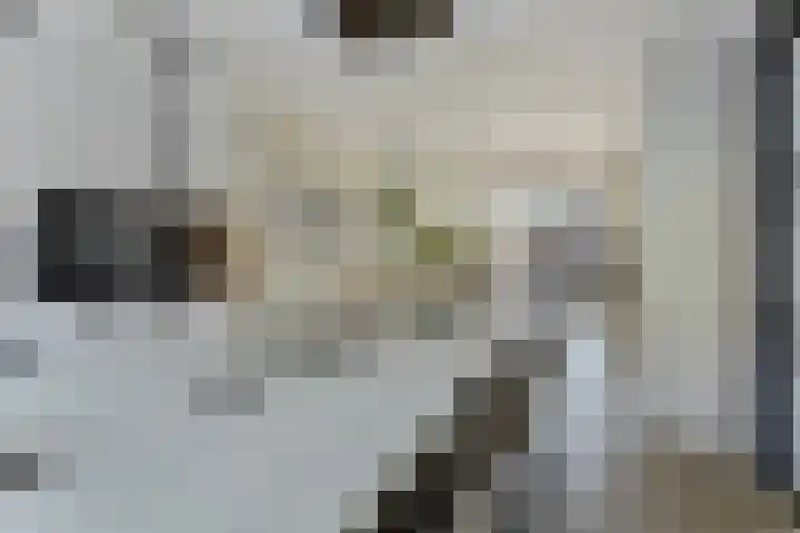 Fazantenlaan 3 Rhoon thumbnail 13