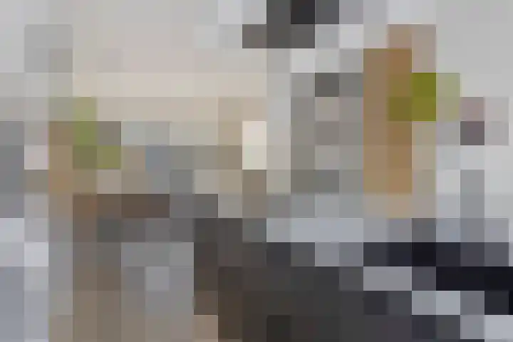 Fazantenlaan 3 Rhoon thumbnail 14