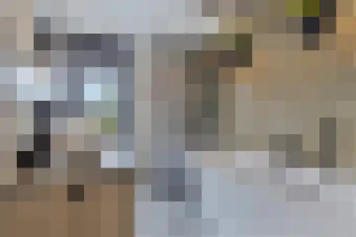 Fazantenlaan 3 Rhoon thumbnail 19