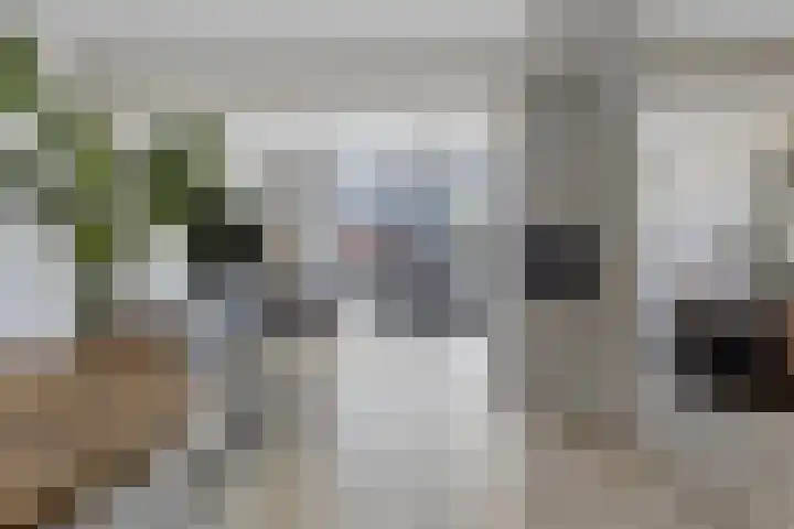 Fazantenlaan 3 Rhoon thumbnail 6