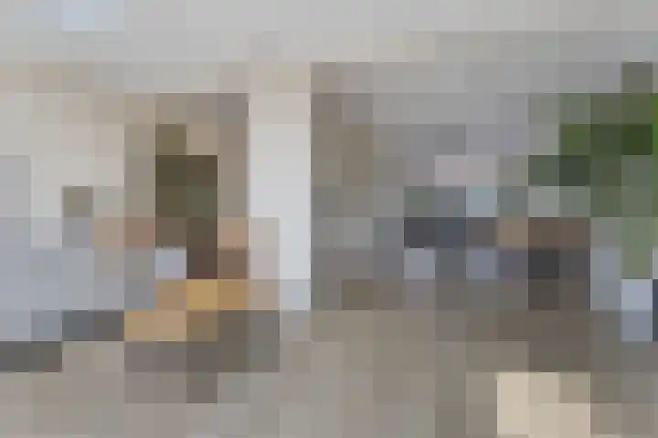 Fazantenlaan 3 Rhoon thumbnail 8