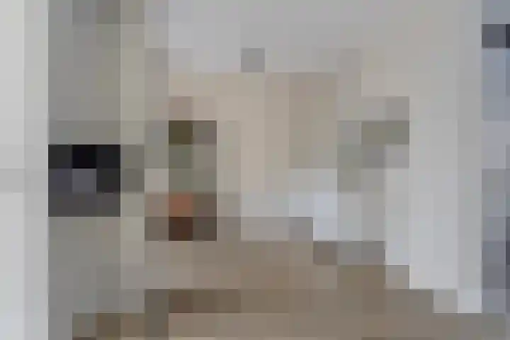 Fazantenlaan 3 Rhoon thumbnail 9