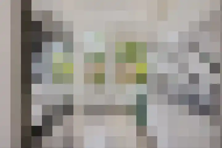 Fazantenlaan 30 Haren Gn thumbnail 13