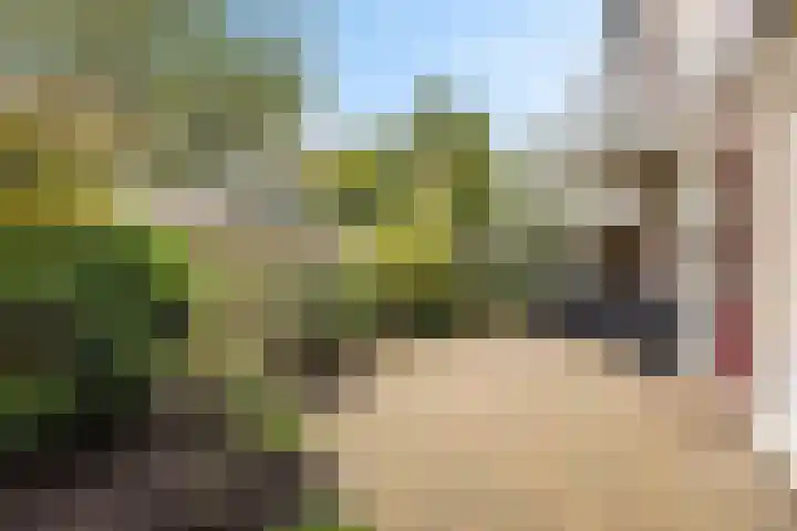 Fazantenlaan 30 Haren Gn thumbnail 34