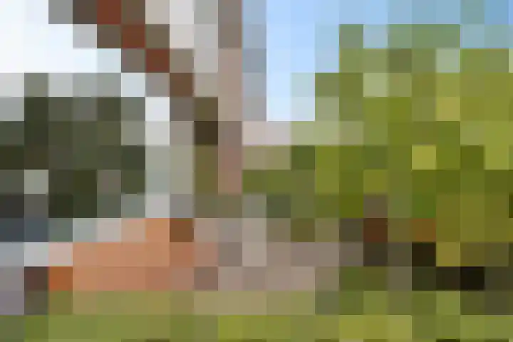 Fazantenlaan 30 Haren Gn thumbnail 4