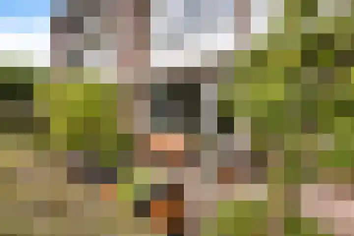 Fazantenlaan 30 Haren Gn thumbnail 5