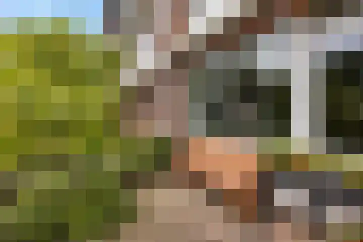 Fazantenlaan 30 Haren Gn thumbnail 6