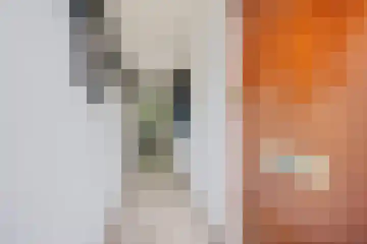 Fazantenlaan 30 Haren Gn thumbnail 7
