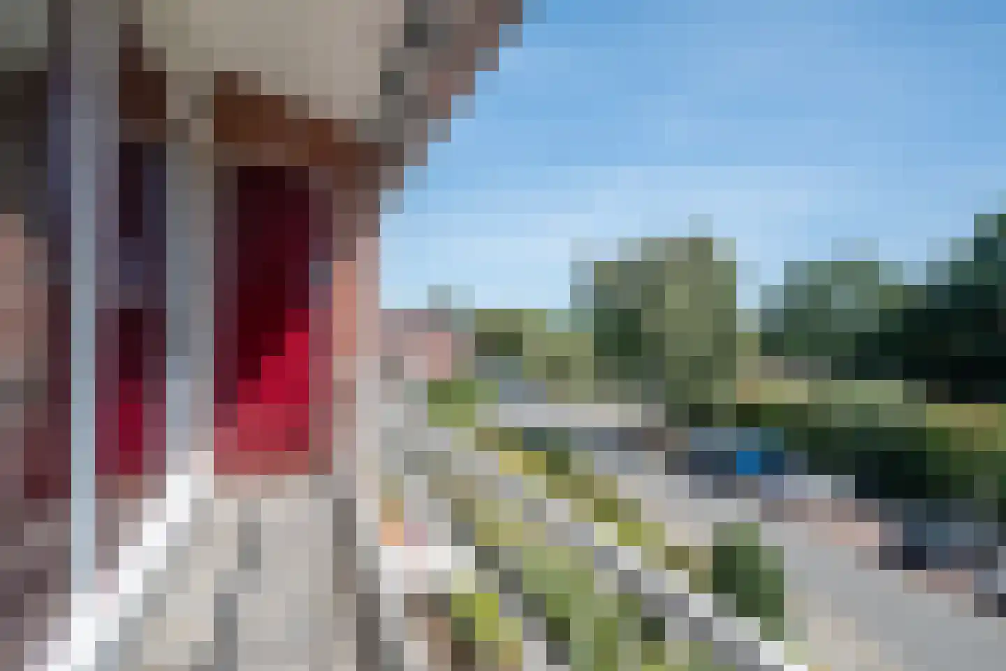 Fazantenlaan 38 Haren Gn thumbnail 31