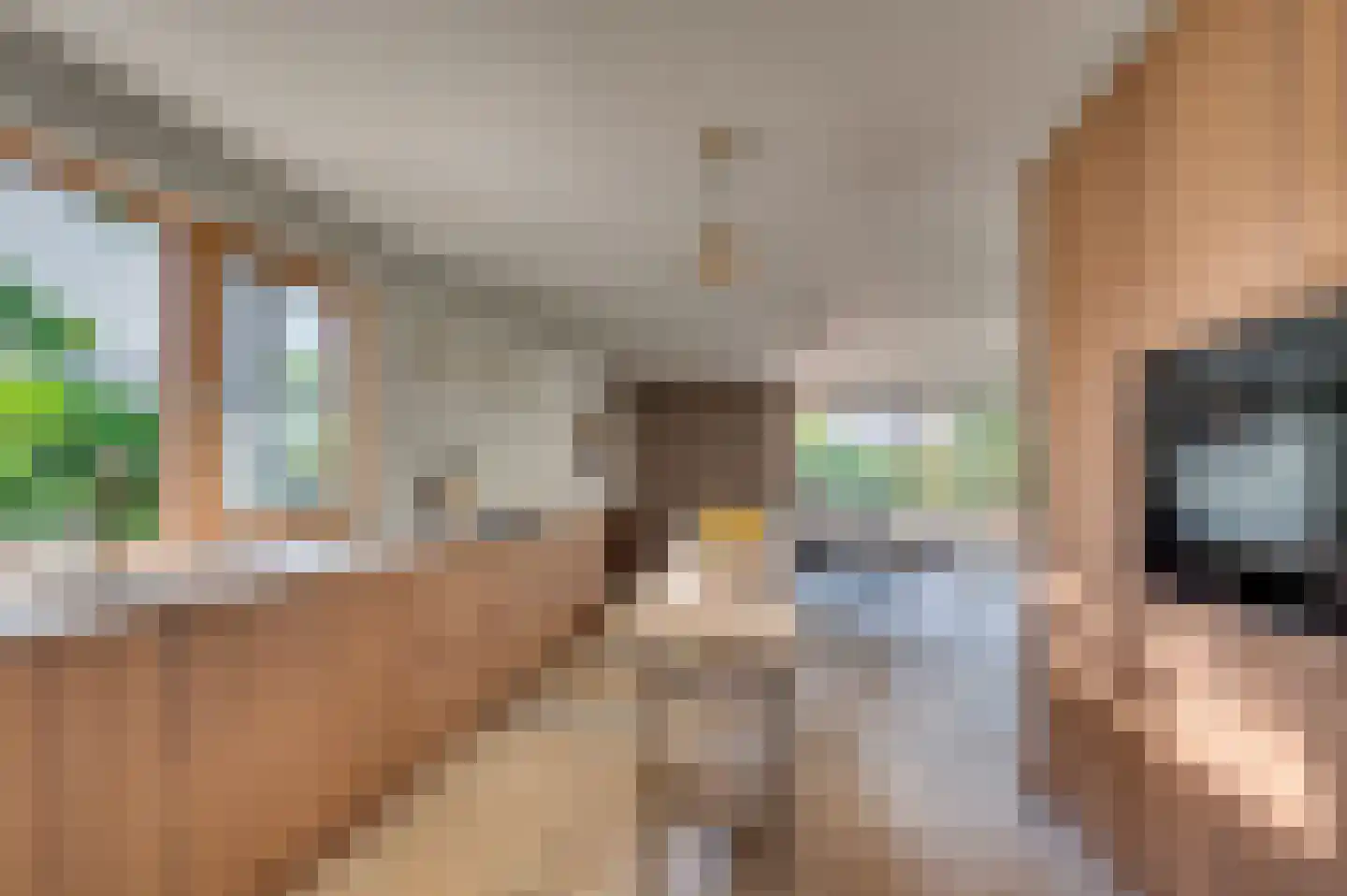 Fazantenlaan 4 Grubbenvorst thumbnail 20