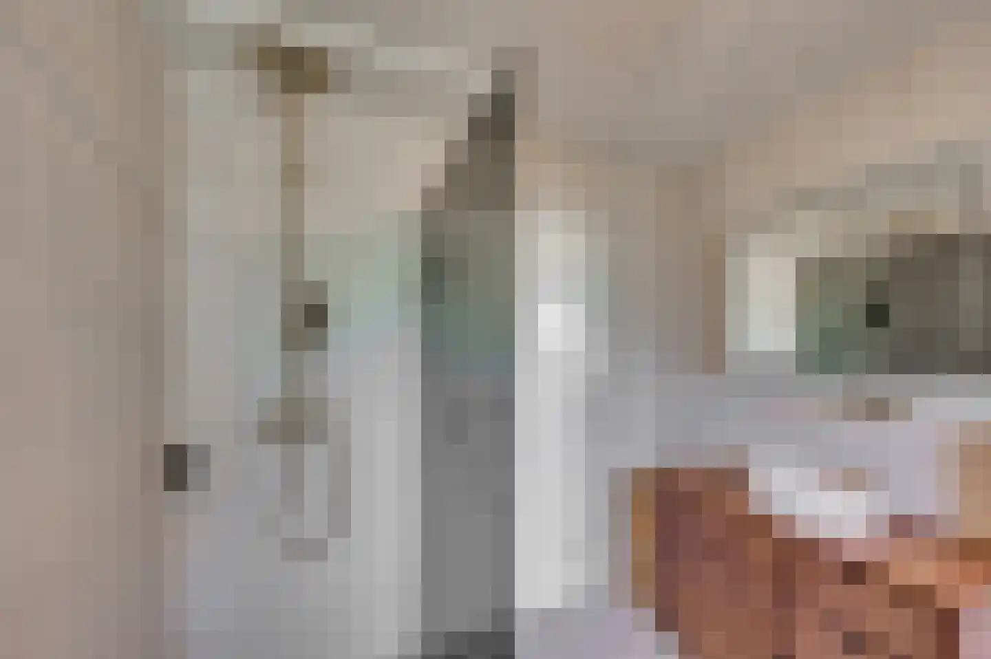Fazantenlaan 4 Grubbenvorst thumbnail 43