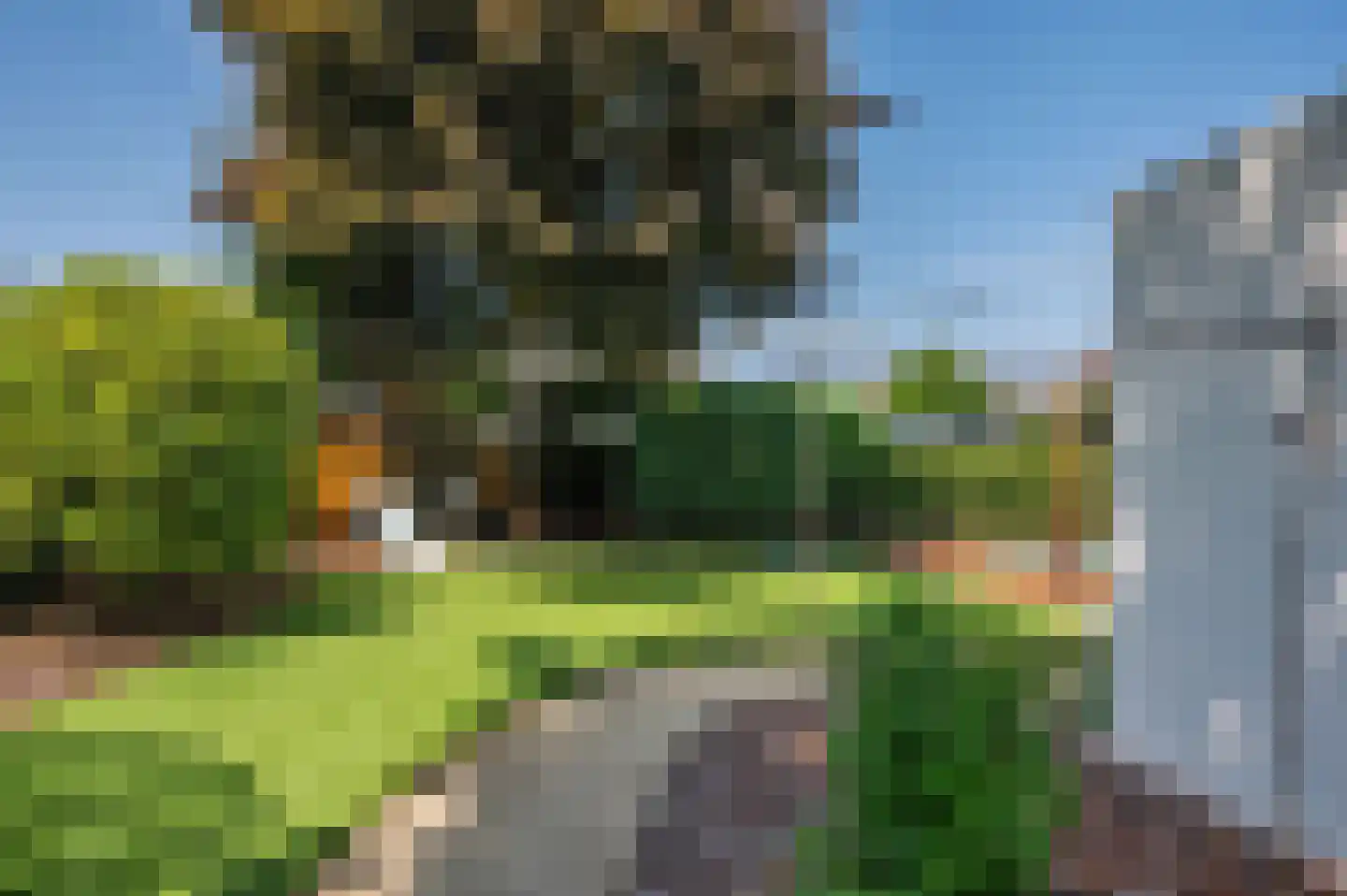 Fazantenlaan 4 Grubbenvorst thumbnail 55