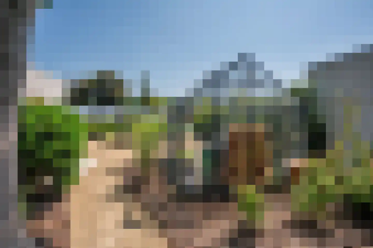 Fazantenlaan 4 Grubbenvorst thumbnail 69