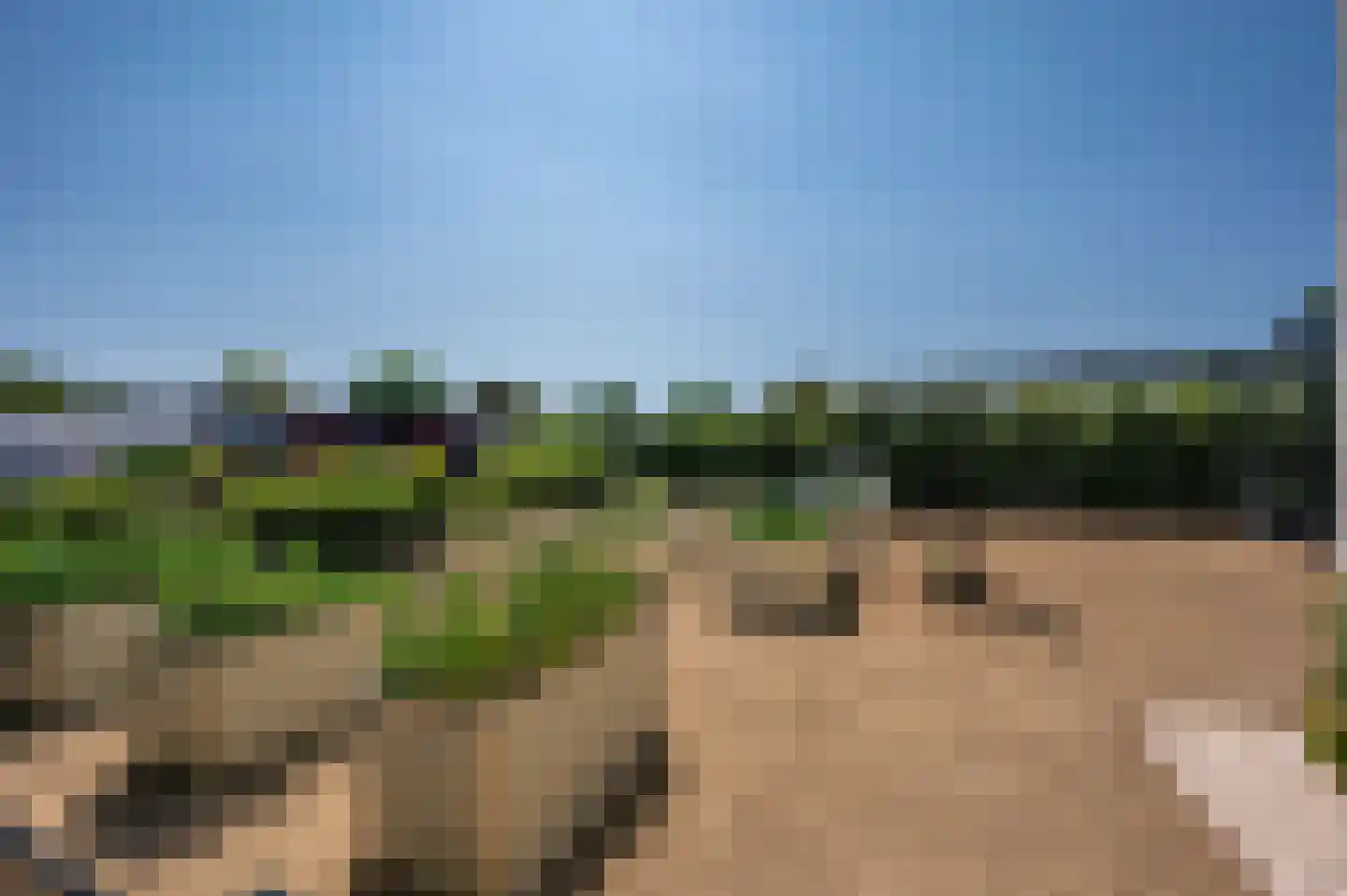 Fazantenlaan 4 Grubbenvorst thumbnail 70