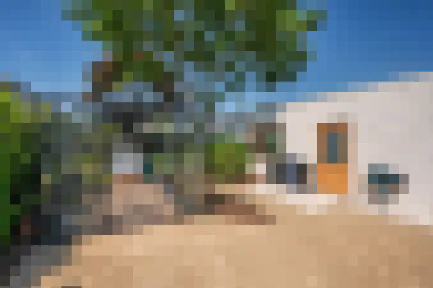 Fazantenlaan 4 Grubbenvorst thumbnail 72