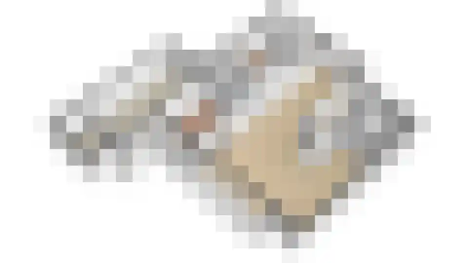 Fazantenlaan 4 Grubbenvorst thumbnail 87