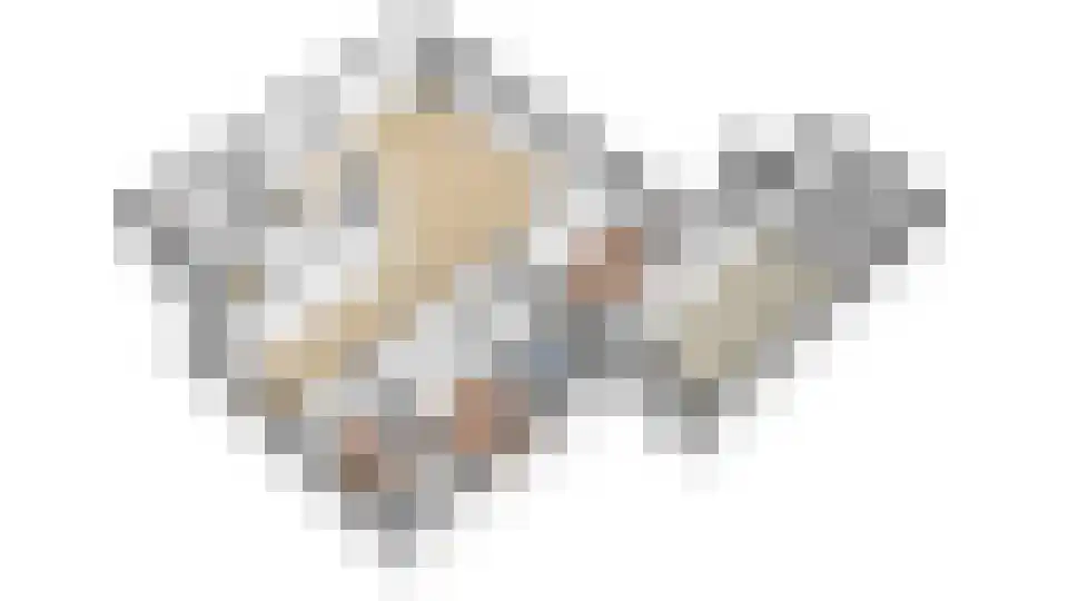 Fazantenlaan 4 Grubbenvorst thumbnail 88