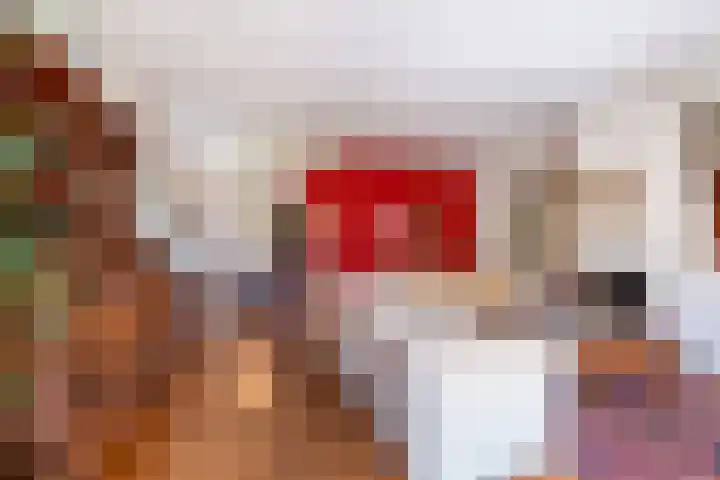 Fazantenlaan 4 Haren Gn thumbnail 12