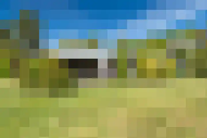 Fazantenlaan 4 Haren Gn foto 2