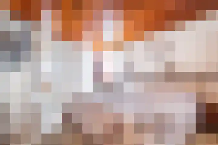 Fazantenlaan 4 Haren Gn thumbnail 29