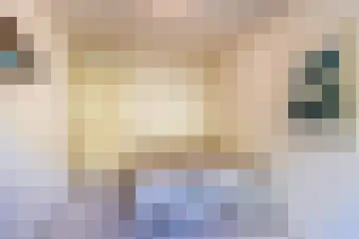 Fazantenlaan 4 Haren Gn thumbnail 31