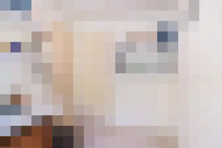 Fazantenlaan 4 Haren Gn thumbnail 34